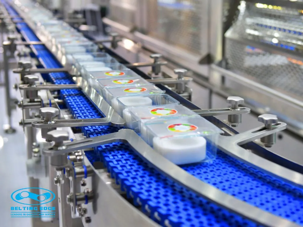 conveyor-systems-at-belting-edge